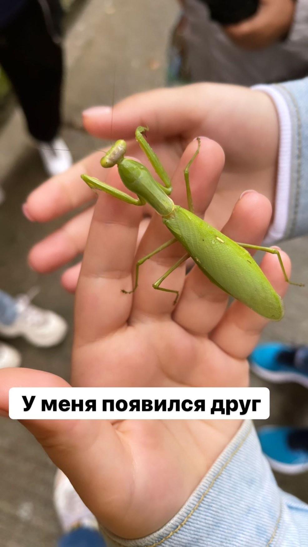 Honeygirl Onlyfans Humping Video