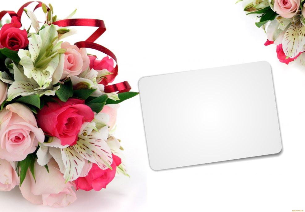 Grade 5 English Tom is Play Now