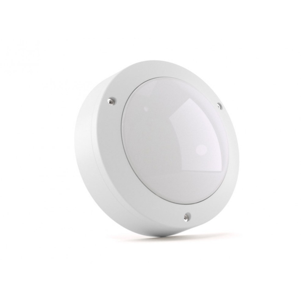 Daria Stebelva Samara