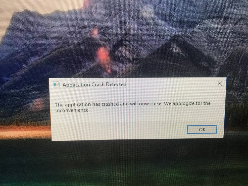 Crash Fortinite Application Crash Detected