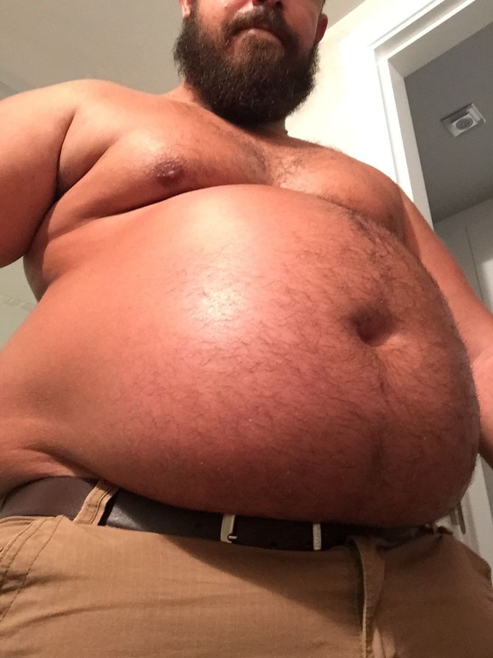 Fat Furry Fox Weight Gain