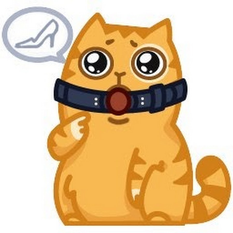 VK stickers cat Persik