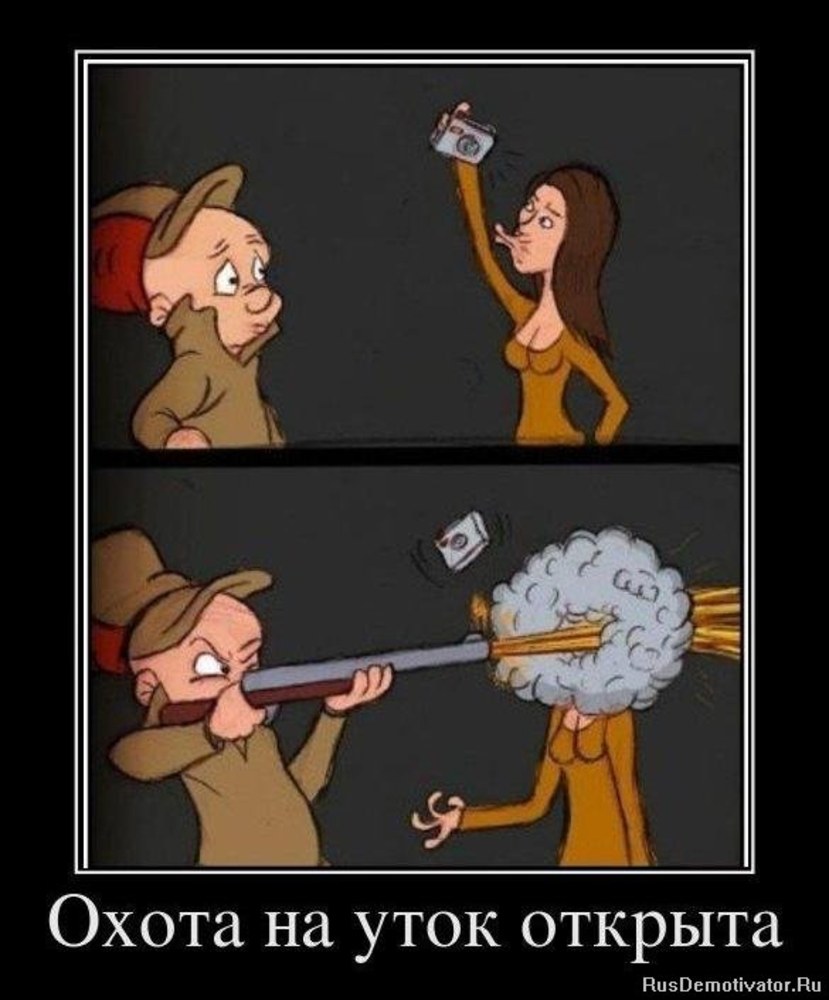 Cunning coyote and road runner Sex