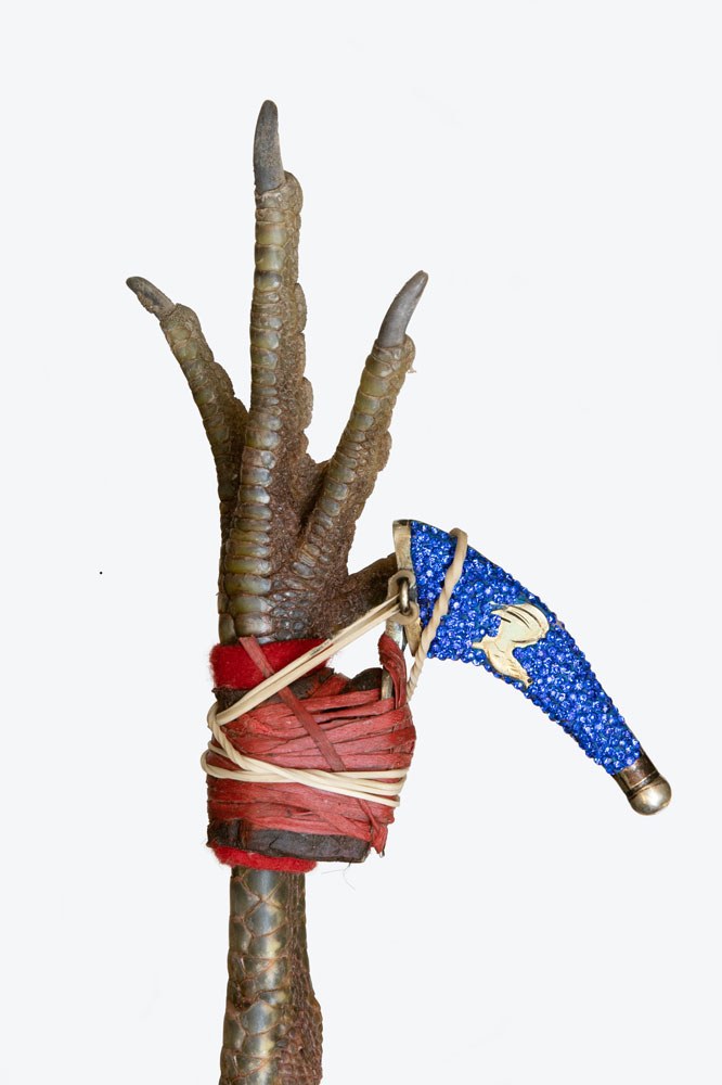 Tuya Smart application