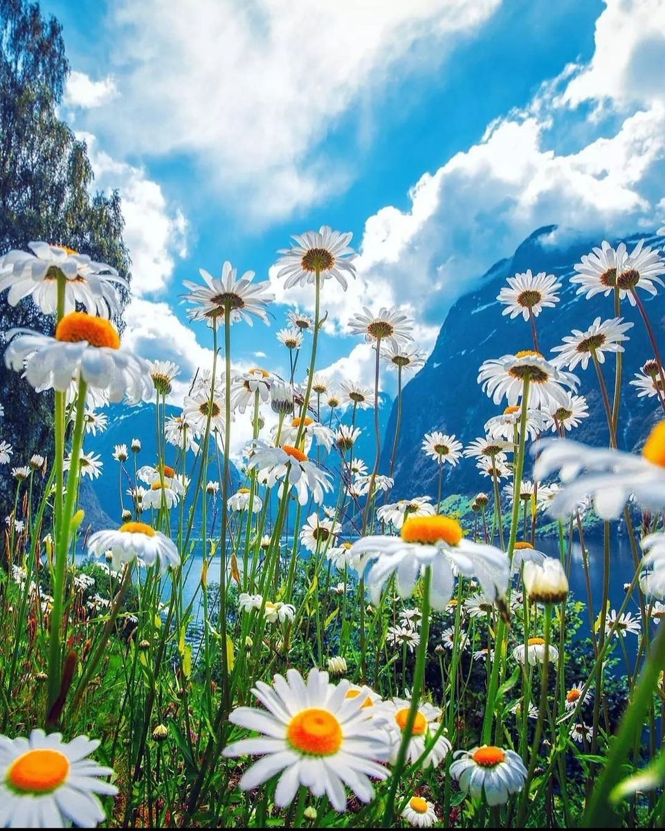 Alexa Vice (50 photos)