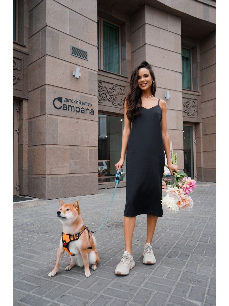 Mlp Twilight Sparkle X Flash Sentry