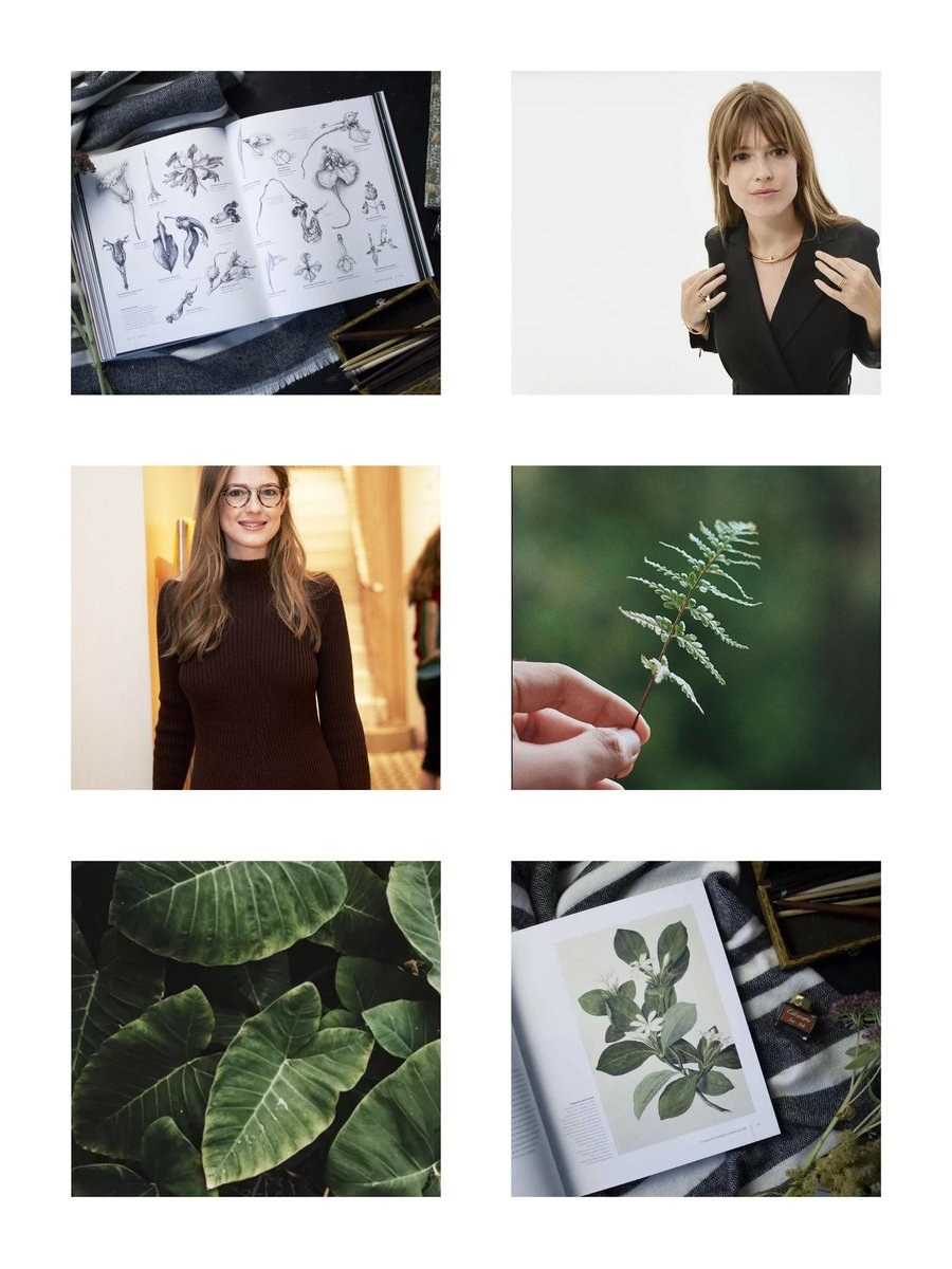 Song Michelle Sir Chloe