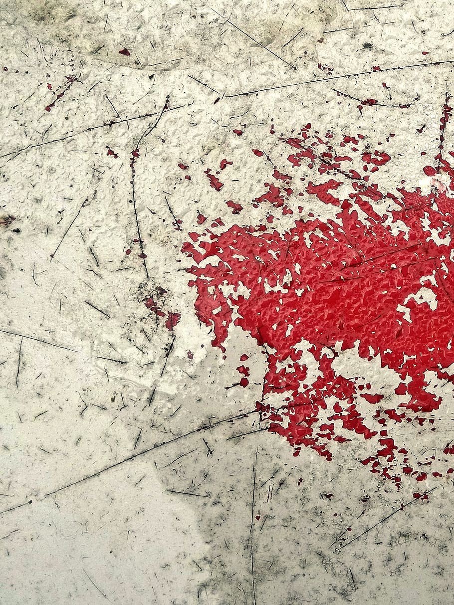 Cyberpunk 2077 Blue Moon Roman