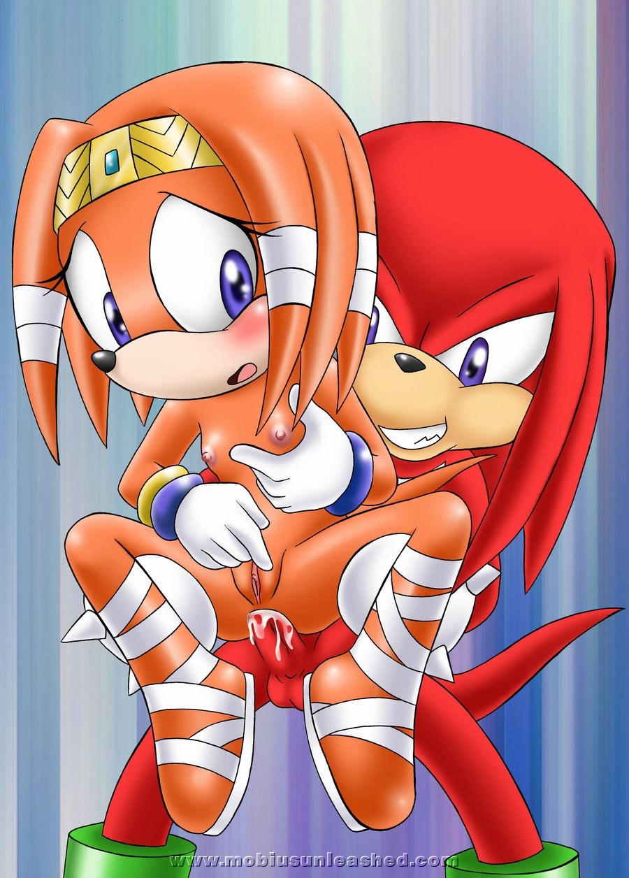 Sonic Sex Amy Rose comics
