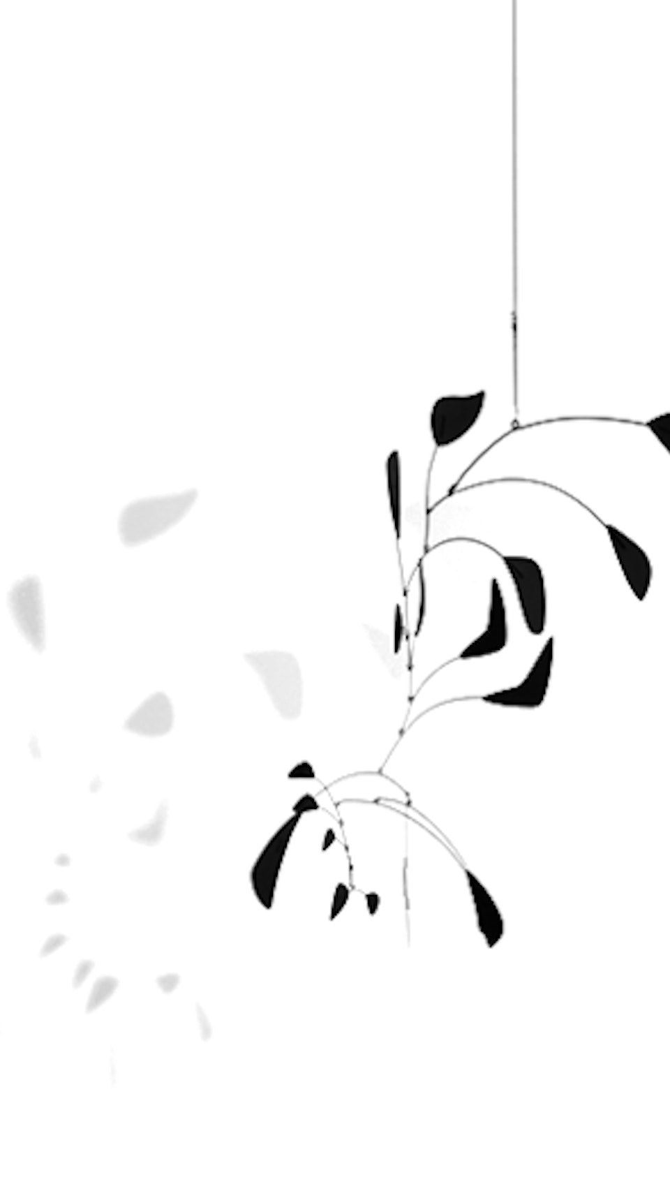 Sean Alexander Model