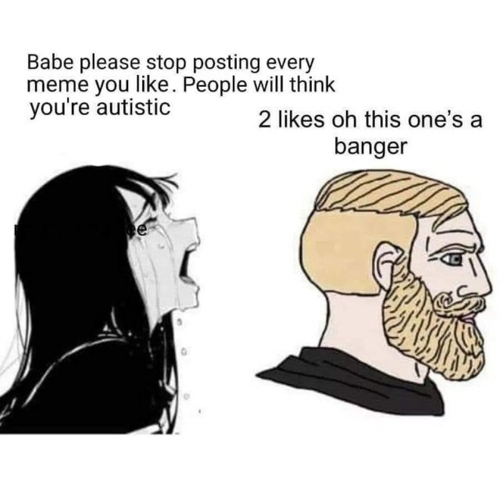 Funny sleeping cats memes