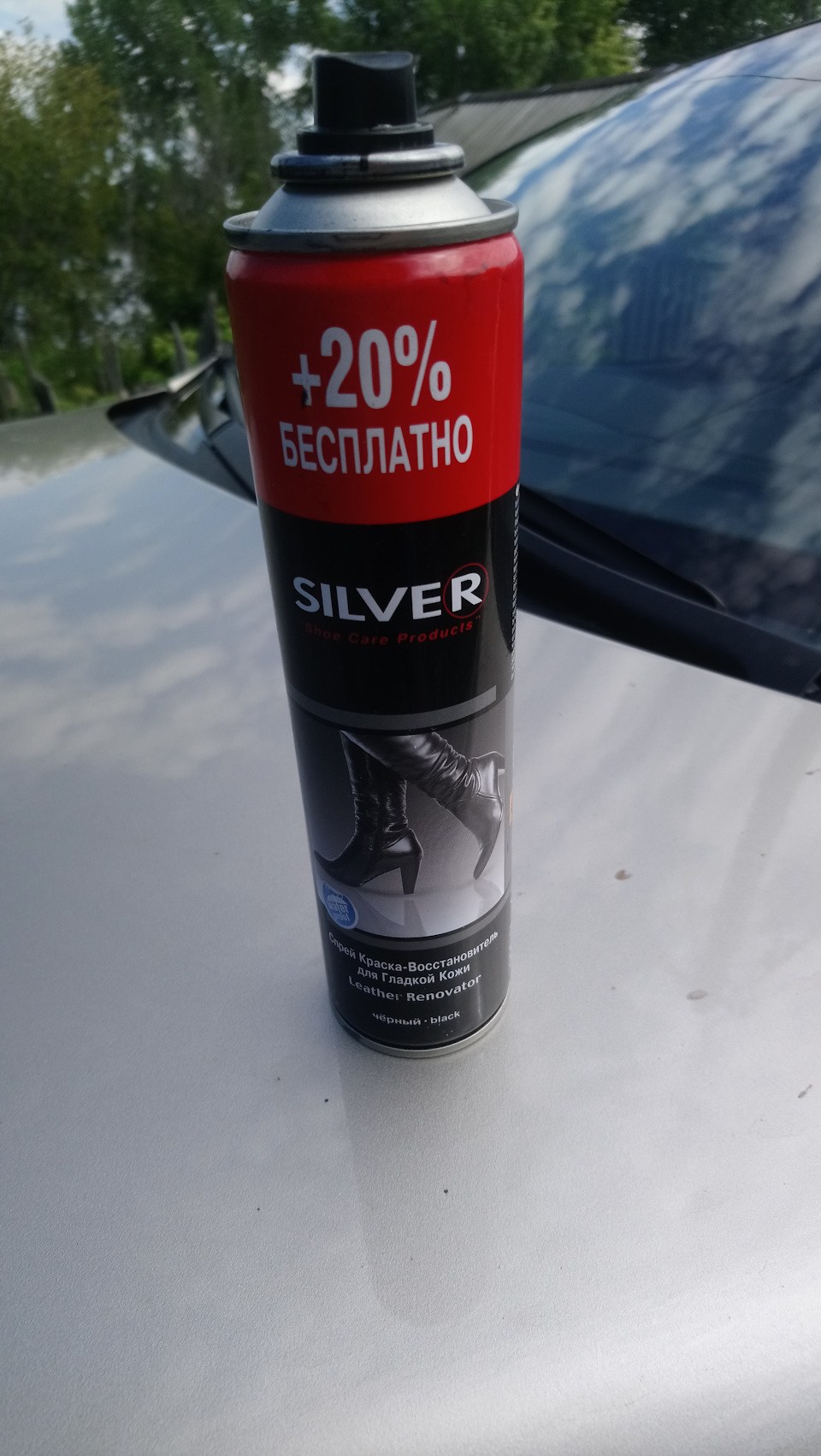 Silver Paint (62 photos)