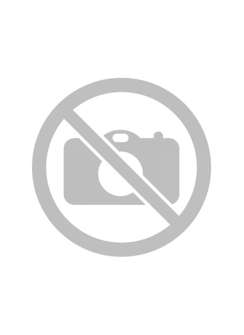 MSI 865GVM2-LS motherboard