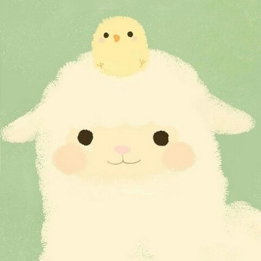 Lilililuxe lilli luxe drain