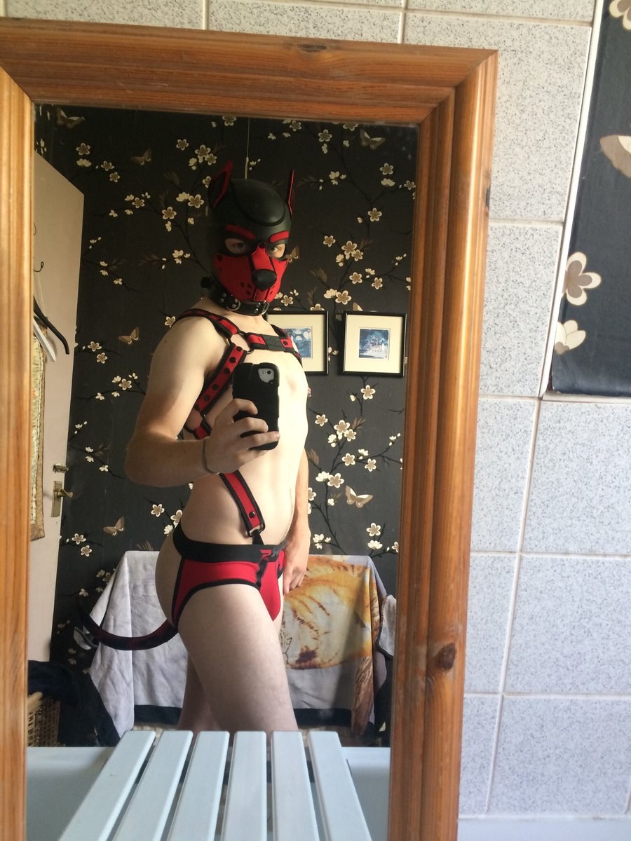 Freddy Ortis training program