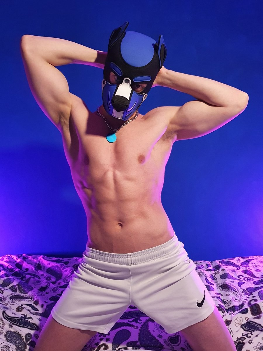 PUP Davey Buy it (57 photos)