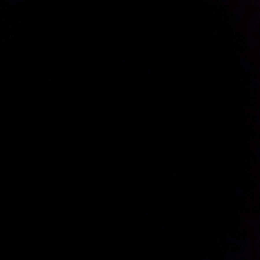 NN-DF383BZPE (inverter)