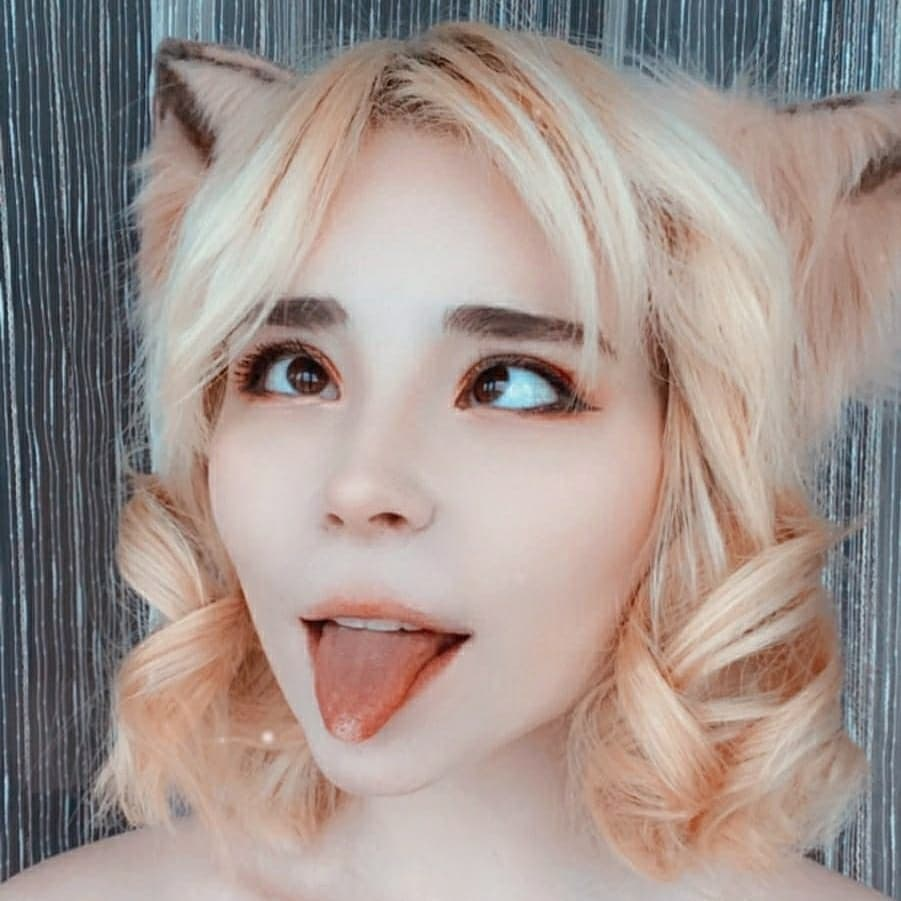 Sweetiefox Secretary (56 photos)