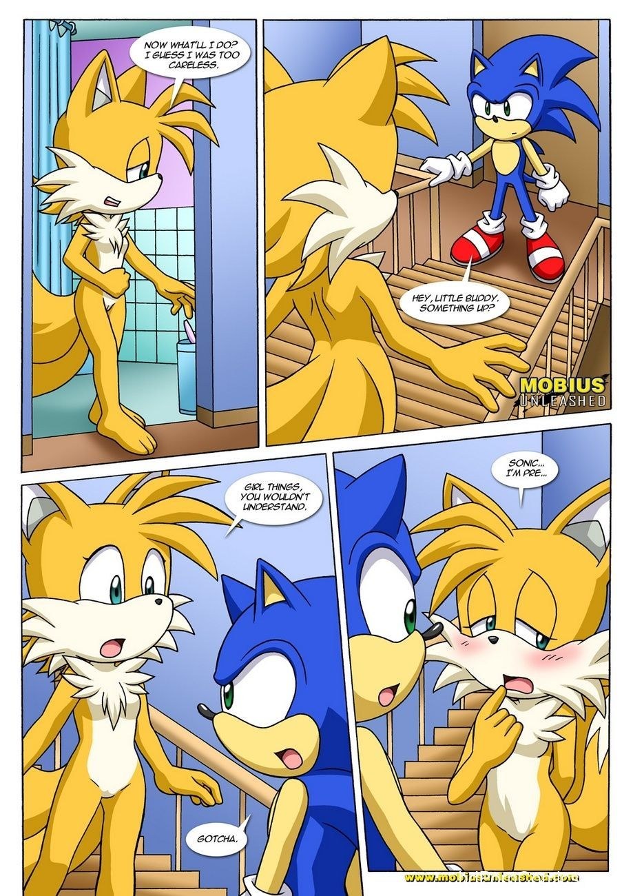 Hentai Sonic Talez and Sonic