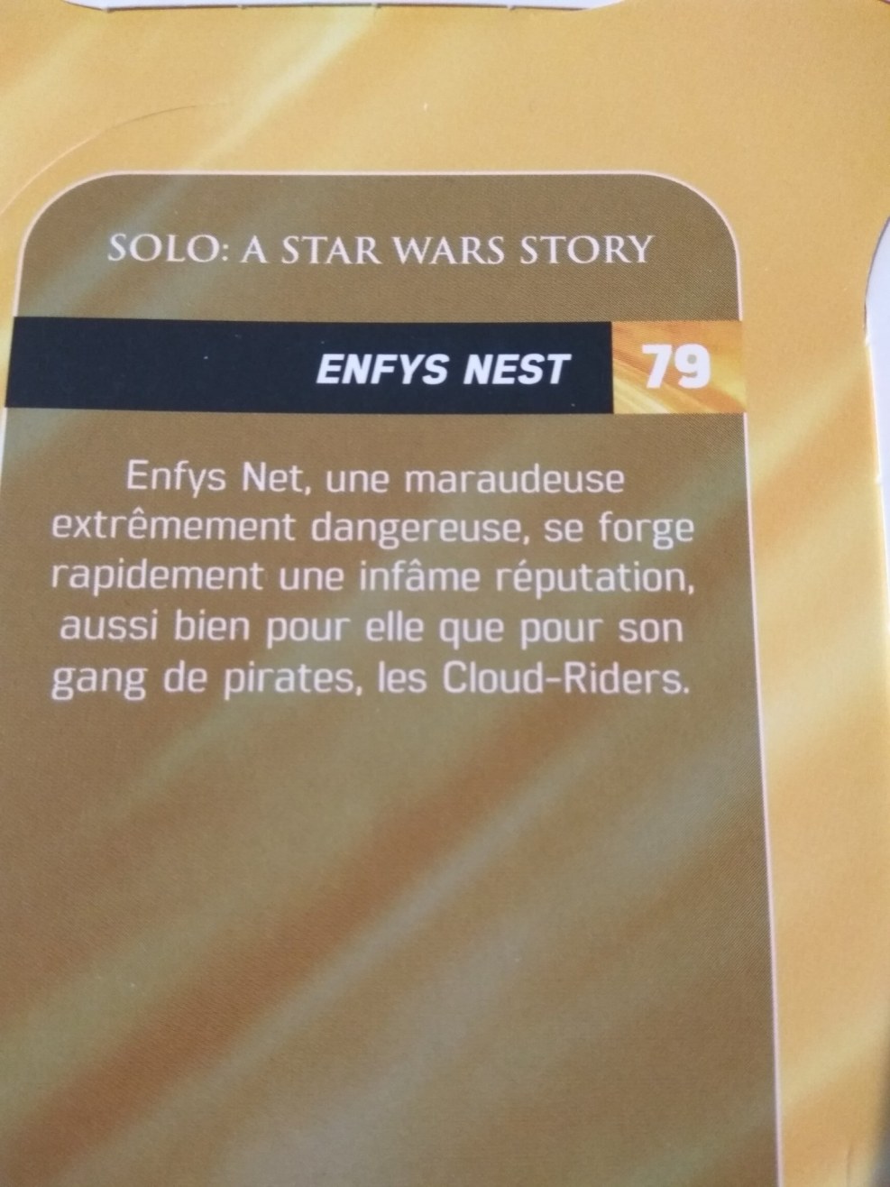 Erin Kelliman Enfis Nest