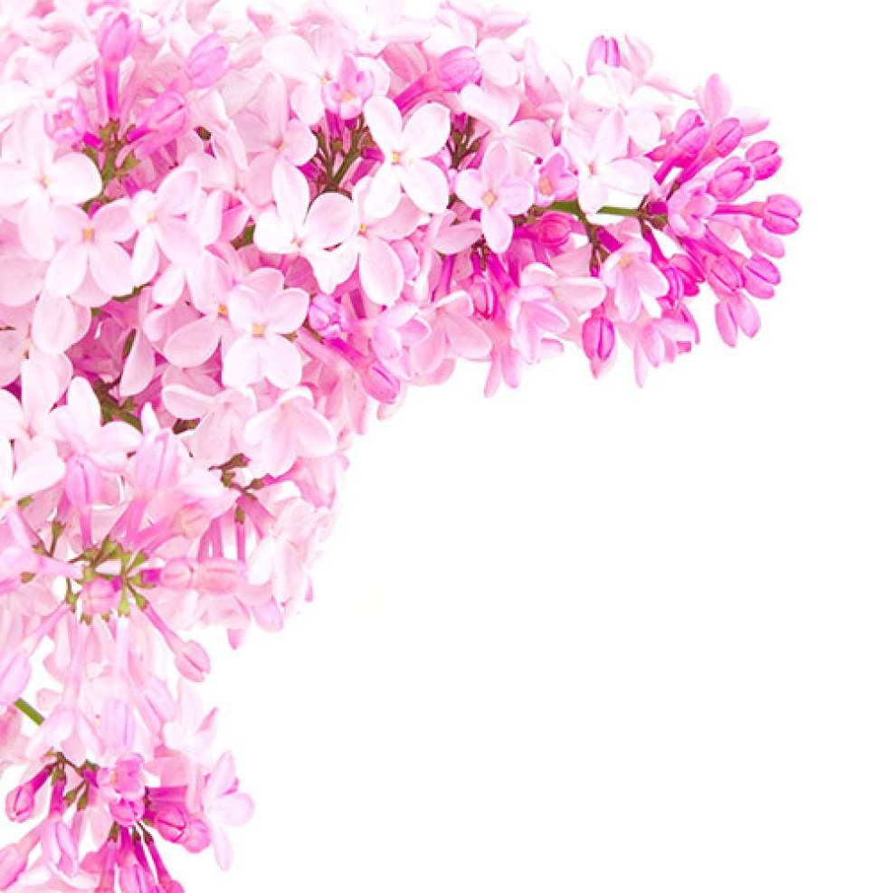 NN-DF383BZPE (inverter)