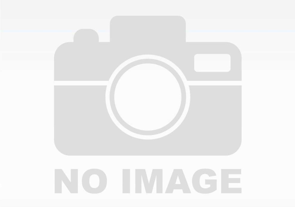 Career Development Plan Essays