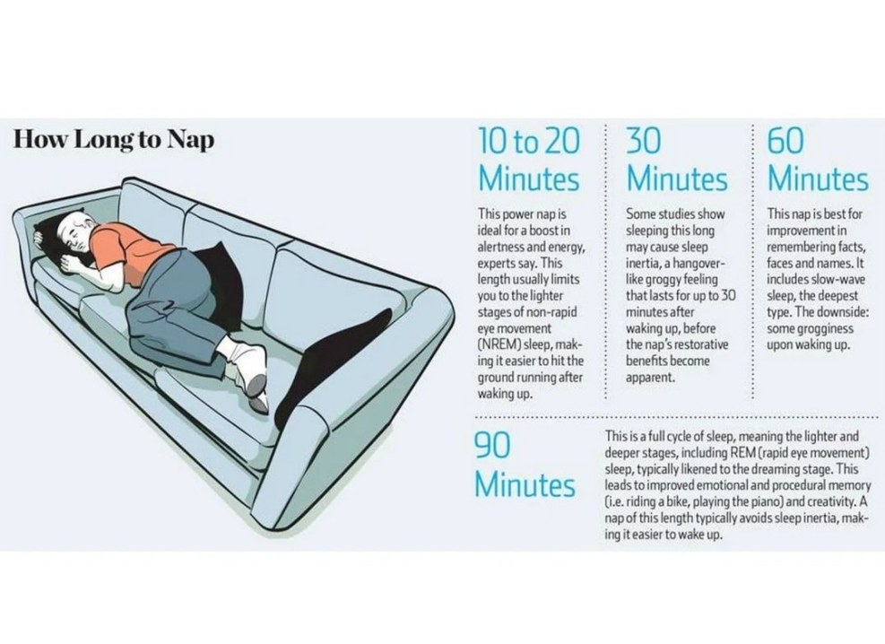 Last Year SincE or For