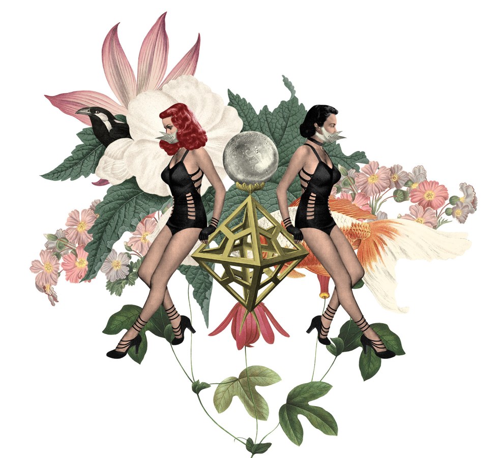 Staacy Knights Porn actress