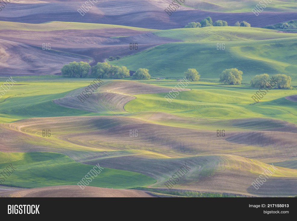 Women Women short hair