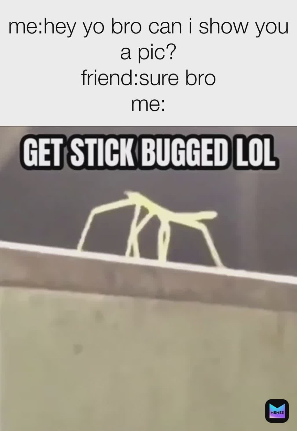 Mongoose LS 7000d keychain