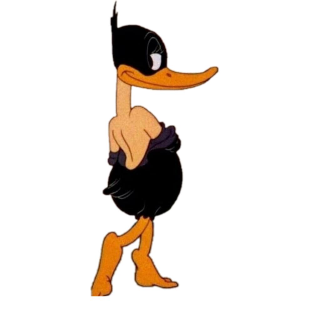 Duck Sizons Computer