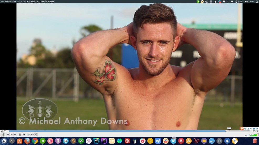 Porn actress Michelle Anthony