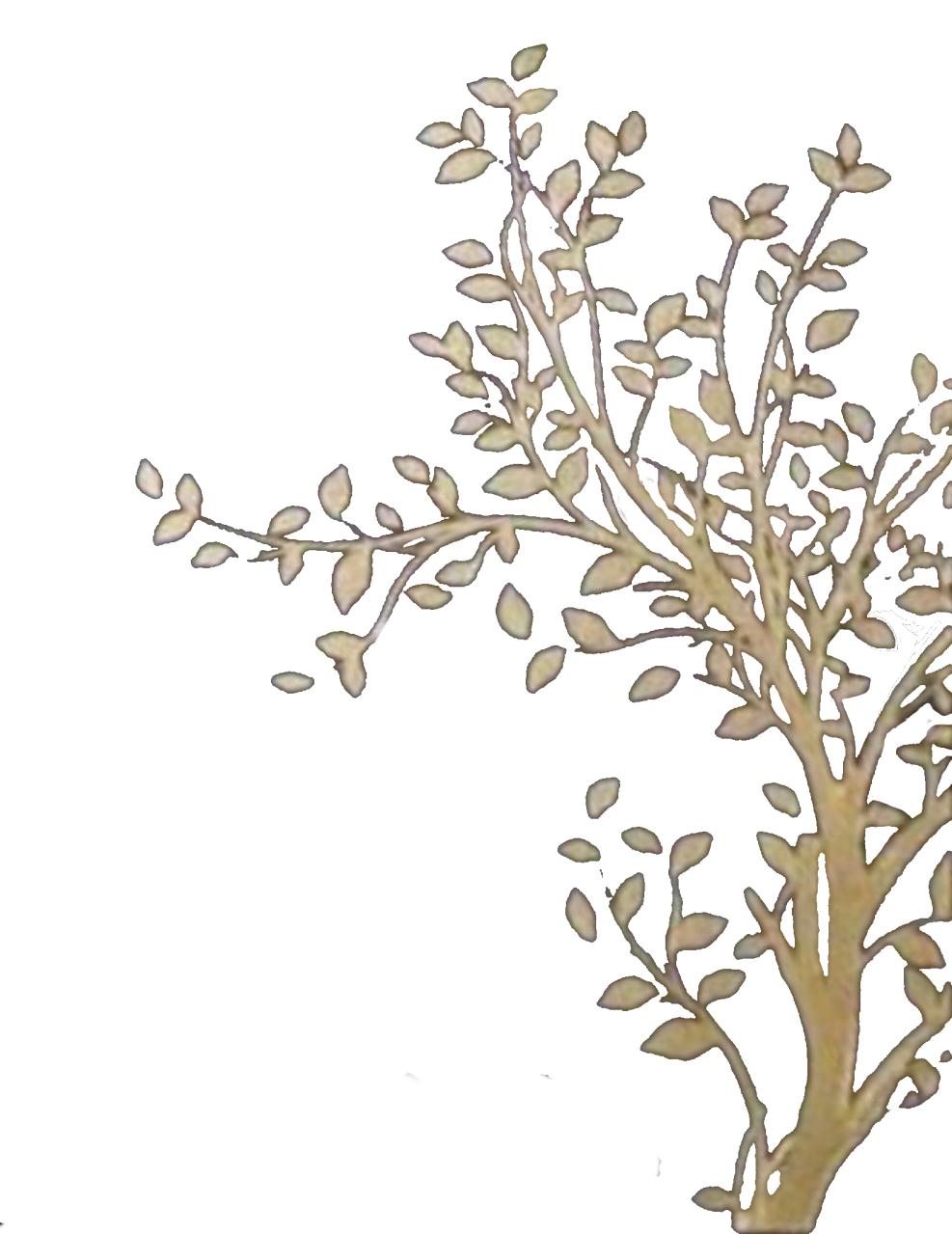 Onlyfans Alissa Noir