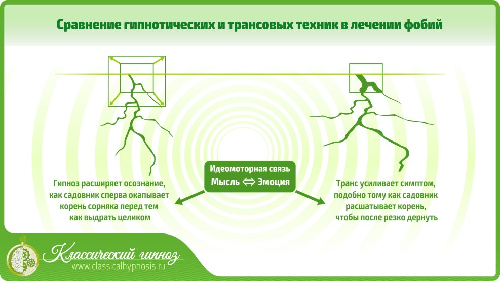 How to cancel the order in the Makeup store