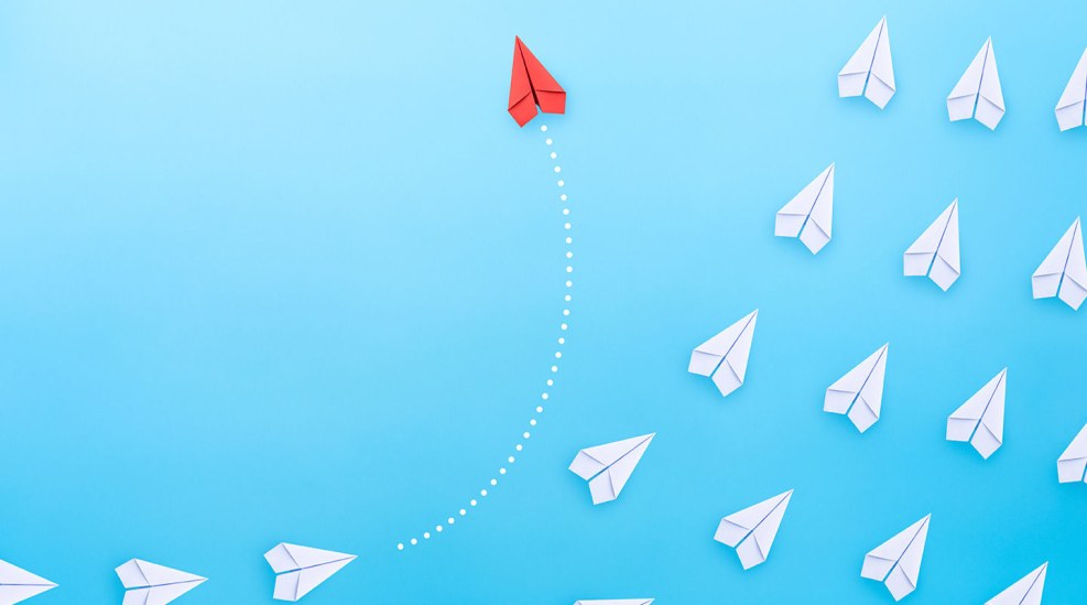 Paper plane butterfly