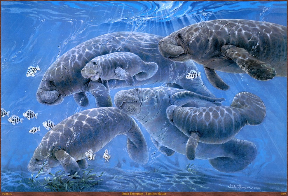 Linda Thompson and Bruce Jenner