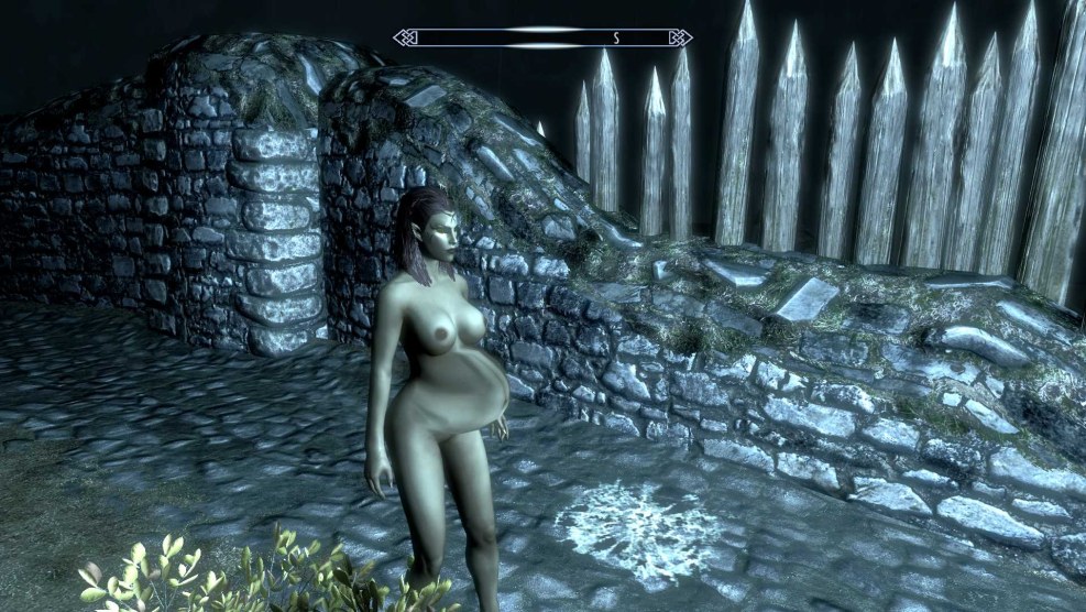 Erotic mod in Skyrim