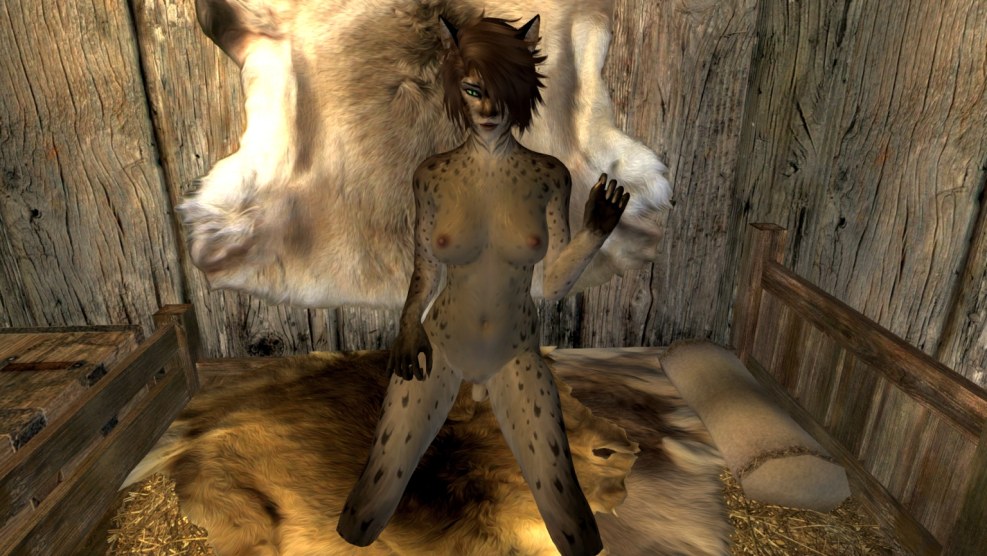 Skyrim erotic mods