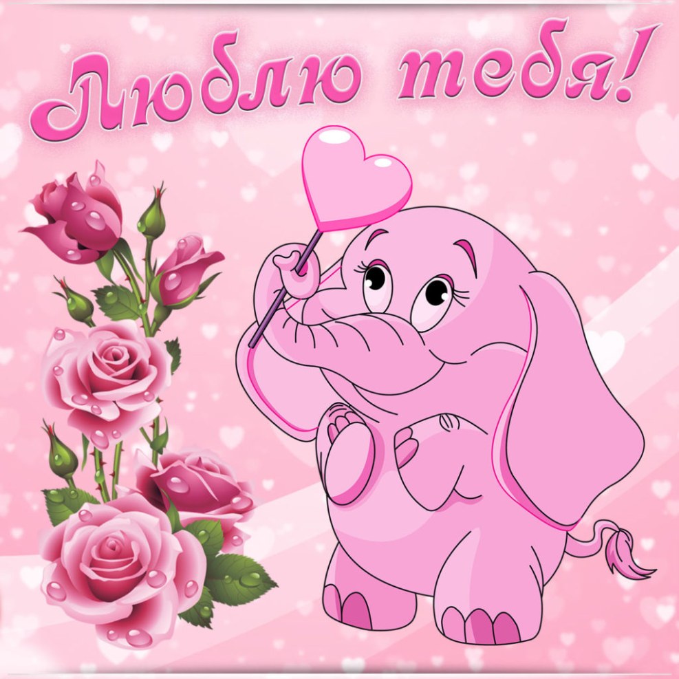 Alina Tsaturova Budennovsk