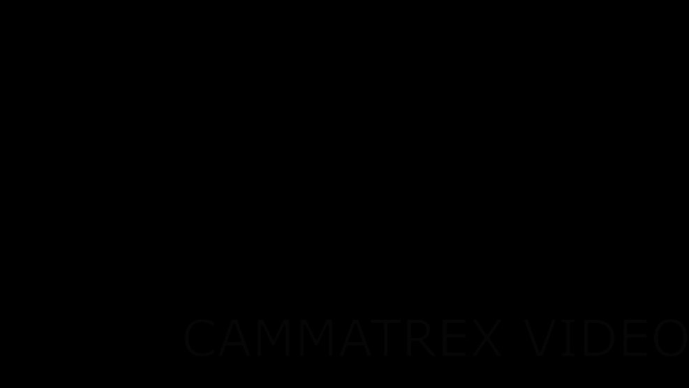 Angels Charlie Poster