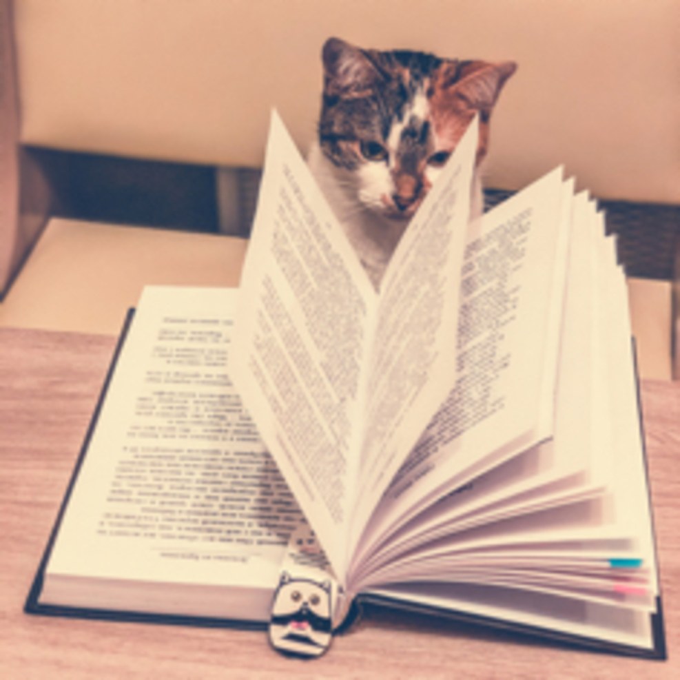 Black background 16 to 9