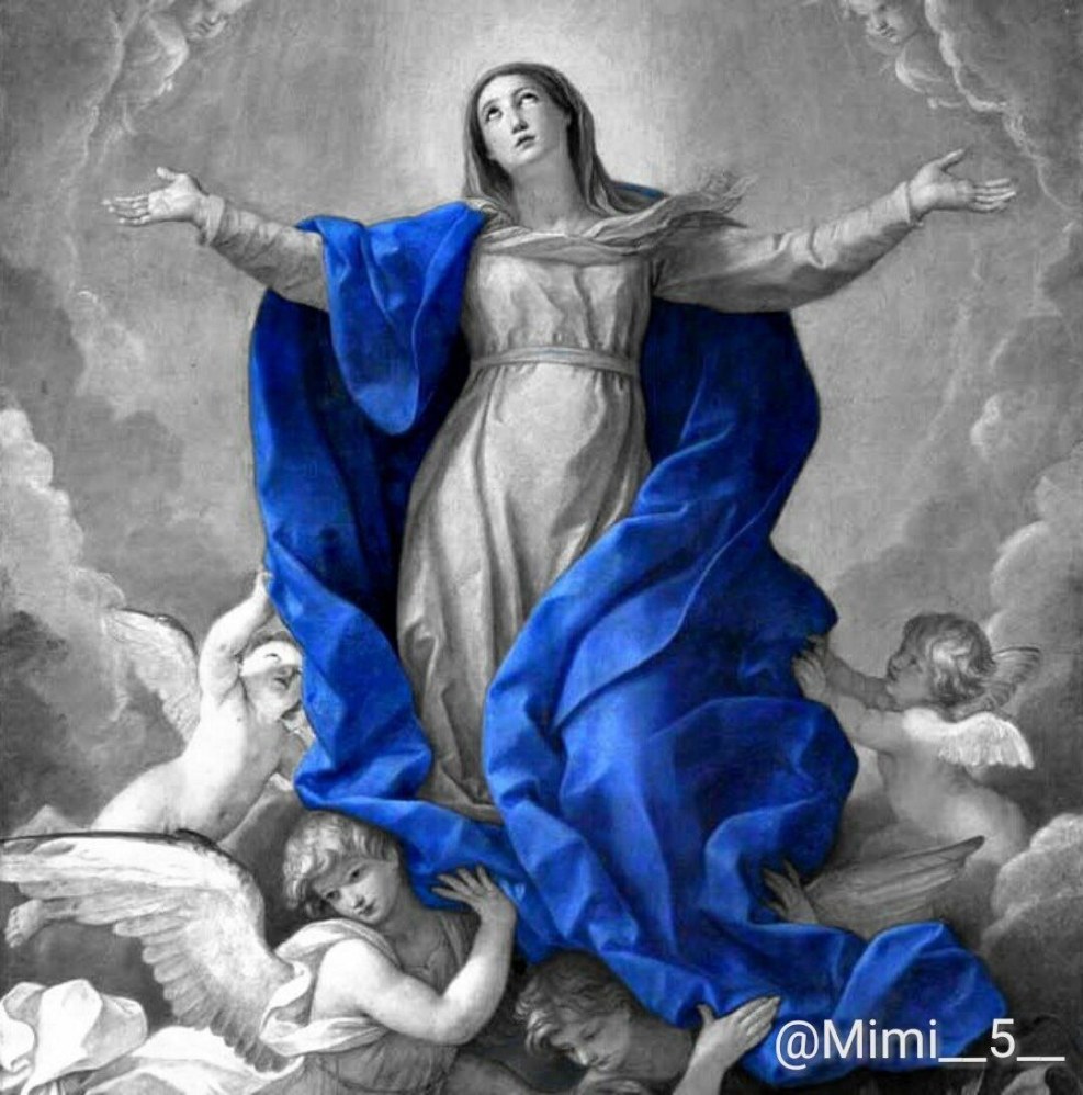 Muzli Colors Education