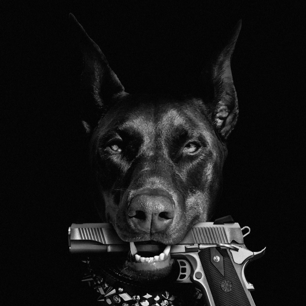 Electric circuit of automation Buderus 2107