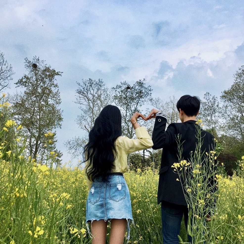 Ljourbring Champion Champion LS5001N