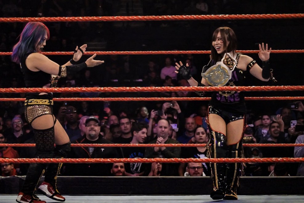 WWE Womens Smackdown Over