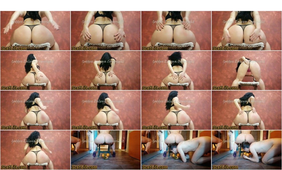 Ezada Feyssitting tights