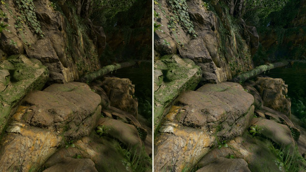 Bell dolphin stockings