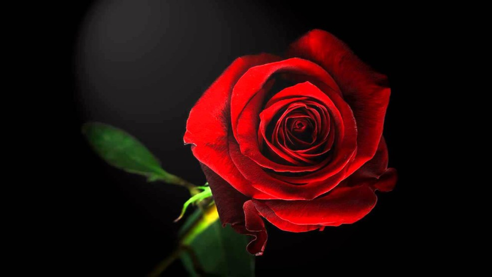 Natalie Portman Naked in the film