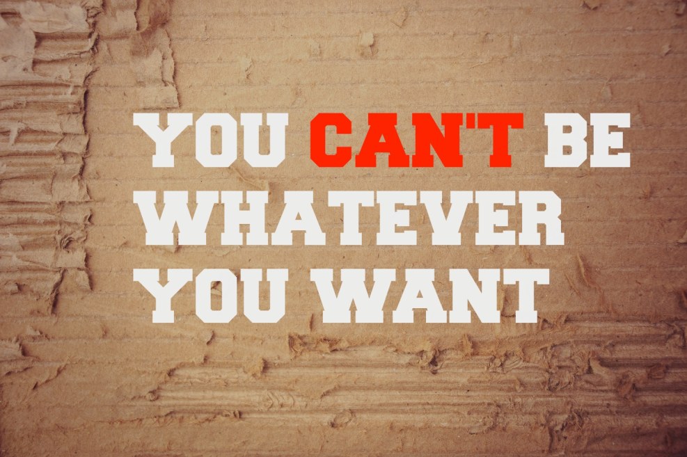 Pani Pony Dash Anime