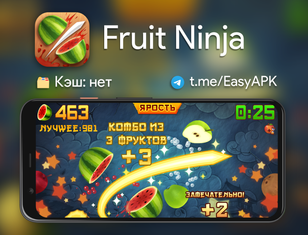 Fruit ninja records